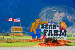 Bear's Farm, Kanada