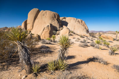 Felsen im Joshua Tree Nationalpark, Kalifornien